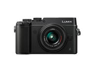 Mirrorless Panasonic Lumix DMC-GX8 с 14-42mm f/3.5-5.6 ASPH II
