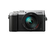 Mirrorless Panasonic Lumix DMC-GX8 с 14-140mm f/3.5-5.6 ASPH