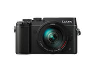 Mirrorless Panasonic Lumix DMC-GX8 с 14-140mm f/3.5-5.6 ASPH