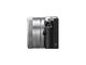 Mirrorless Panasonic Lumix DMC-GM1WEG-S с 12-32mm f/3.5-5.6 ASPH и 20mm f/1.7 ASPH