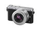 Mirrorless Panasonic Lumix DMC-GM1WEG-S с 12-32mm f/3.5-5.6 ASPH и 20mm f/1.7 ASPH
