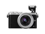 Mirrorless Panasonic Lumix DMC-GM1WEG-S с 12-32mm f/3.5-5.6 ASPH и 20mm f/1.7 ASPH