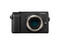 Mirrorless Panasonic Lumix DMC-GX80