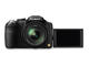 Компактни фотоапарати Panasonic Lumix FZ200