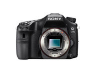 DSLR Sony Alpha 77 II с 18-250mm f/3.5-6.3 DT