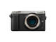 Mirrorless Panasonic Lumix DMC-GX80