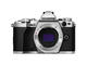 Mirrorless Olympus OM-D E-M5 Mark II