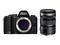 Mirrorless Olympus OM-D E-M10 с ED 12-50mm f/3.5-6.3 EZ
