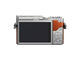 Mirrorless Panasonic Lumix DC-GX800 с 12-32mm f/3.5-5.6 ASPH