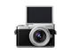 Mirrorless Panasonic Lumix DC-GX800 с 12-32mm f/3.5-5.6 ASPH