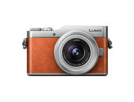 Mirrorless Panasonic Lumix DC-GX800 с 12-32mm f/3.5-5.6 ASPH и 25mm f/1.7