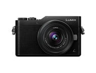 Mirrorless Panasonic Lumix DC-GX800 с 12-32mm f/3.5-5.6 ASPH и 25mm f/1.7