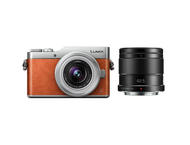 Mirrorless Panasonic Lumix DC-GX800 с 12-32mm f/3.5-5.6 ASPH и 42.5mm f/1.7
