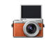 Mirrorless Panasonic Lumix DC-GX800 с 12-32mm f/3.5-5.6 ASPH и 42.5mm f/1.7