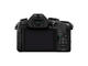 Mirrorless Panasonic Lumix DMC-G80 с 12-60mm f/3.5-5.6 ASPH и 15mm f/1.7 Leica