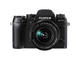 Mirrorless Fujifilm X-T1 с 18-55mm OIS и Zeiss Touit 32mm f/1.8