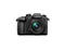 Mirrorless Panasonic Lumix DC-GH5 с 12-60mm f/3.5-5.6 Power O.I.S.
