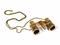 Бинокли Levenhuk Broadway 325F Opera Glasses Gold