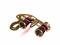 Бинокли Levenhuk Broadway 325F Opera Glasses Red