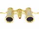 Бинокли Levenhuk Broadway 325F Opera Glasses Silver