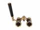Бинокли Levenhuk Broadway 325N Opera Glasses Black