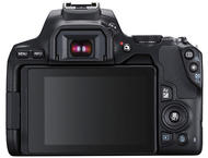 DSLR Canon EOS 250D