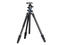 Стативи Benro Go Plus Travel FGP18AB1