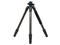 Стативи Benro Go Plus Travel FGP18CV1