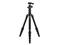 Стативи Benro Tripster FTR09AB00GBLK