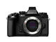 Mirrorless Olympus OM-D E-M1