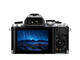 Mirrorless Olympus OM-D E-M10