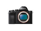 Mirrorless Sony Alpha 7