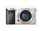 Mirrorless Sony Alpha 6000