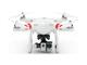Дронове DJI Phantom 2 V2 + стойка Zenmuse H3-3D