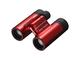 Бинокли Nikon Aculon T01 10x21