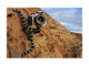 Стативи Joby Gorillapod SLR-Zoom Tripod