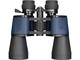 Бинокли Levenhuk Discovery New Gator 10–30x50