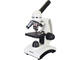 Микроскопи Levenhuk Discovery Femto Polar с книга