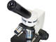 Микроскопи Levenhuk Discovery Femto Polar с книга