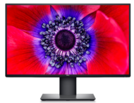 Употребявани монитори Dell UltraSharp U2520D - втора употреба 