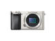 Mirrorless Sony Alpha 6000 с обектив 18-200mm f/3.5-6.3 OSS LE