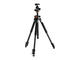 Стативи Vanguard Alta Pro 263AB 100