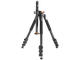 Стативи Vanguard Alta Pro 264AT
