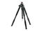 Стативи Vanguard Auctus Plus 284AT