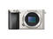 Mirrorless Sony Alpha 6000