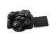 Компактни фотоапарати Panasonic Lumix FZ300