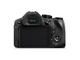 Компактни фотоапарати Panasonic Lumix FZ300